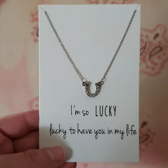 Horseshoe Necklace I'm so lucky to have you in my life Rhinestone Dainty Horsesh - Picture 8 of 9